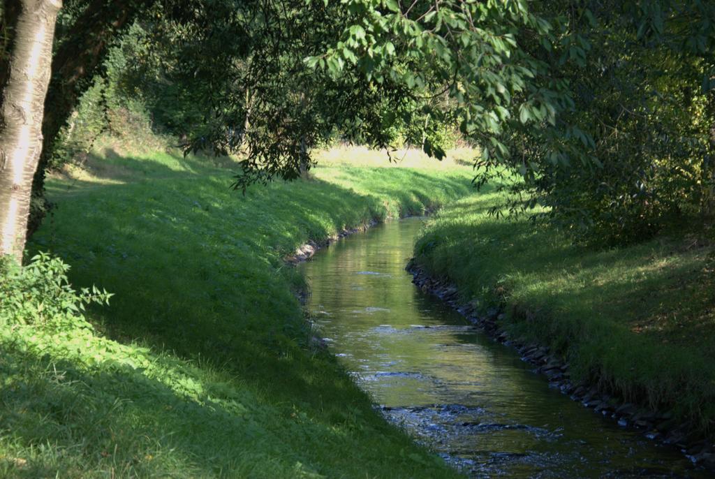 Land-Hotel Zum Schwan, Garni Weilerswist-Metternich, 3 E-Ladestationen, Naehe Phantasialand, Palmenparadies Euskirchen エクステリア 写真